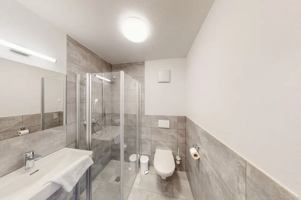 KITZIMMO-exklusives Apartment in Neukirchen kaufen.