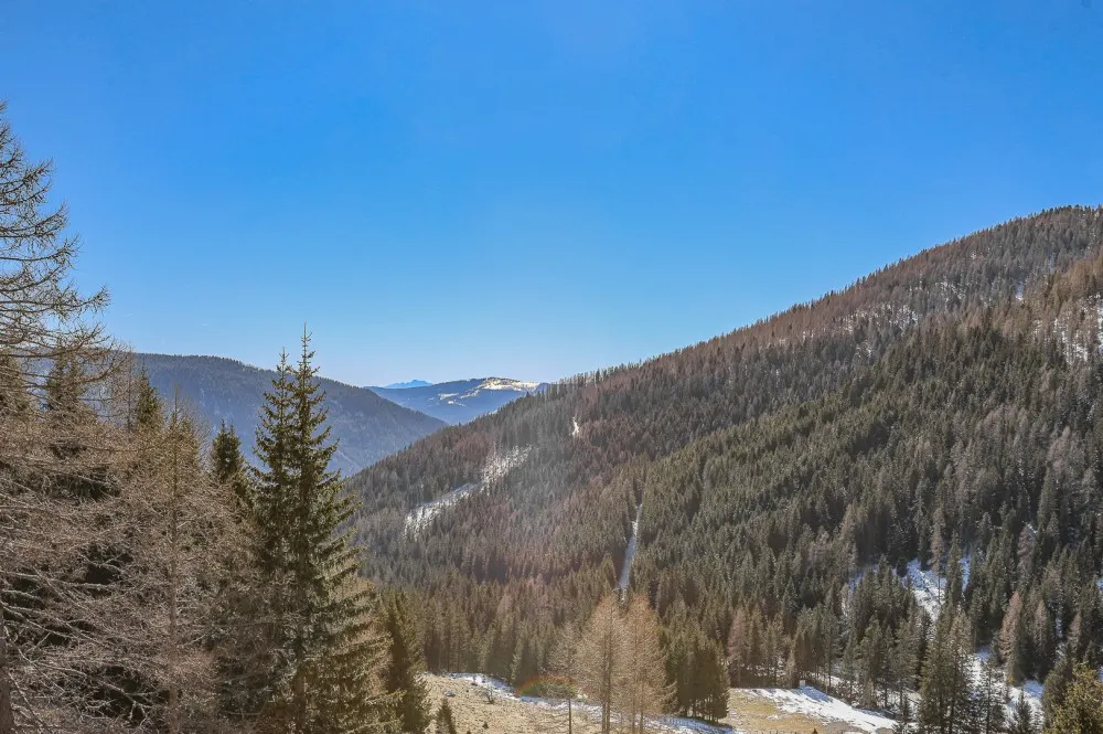 KITZIMMO-exklusives Almchalet 1 in Toplage kaufen - Immobilien Falkertsee Kärnten.