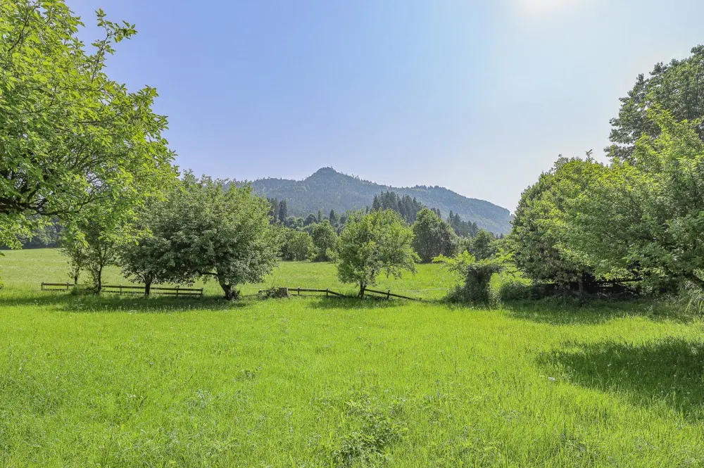 KITZIMMO-Idyllisches 3.491 m² Freilandgrundstück mit Altbestand kaufen - Immobilien Wörgl.