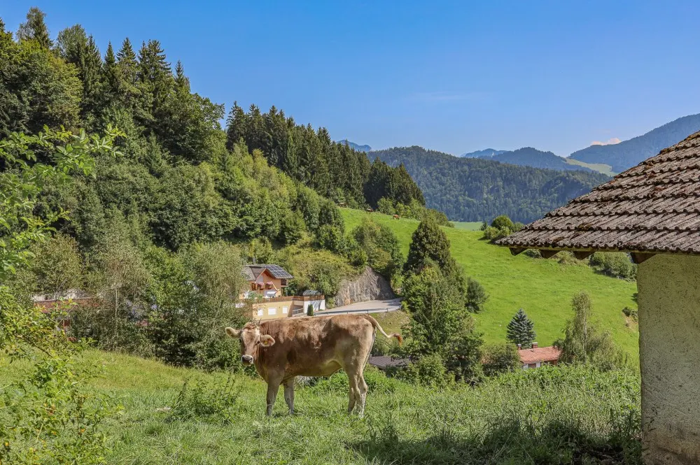 KITZIMMO-Exklusive Villa in Toplage kaufen - Immobilien Kufstein Kitzbühel.