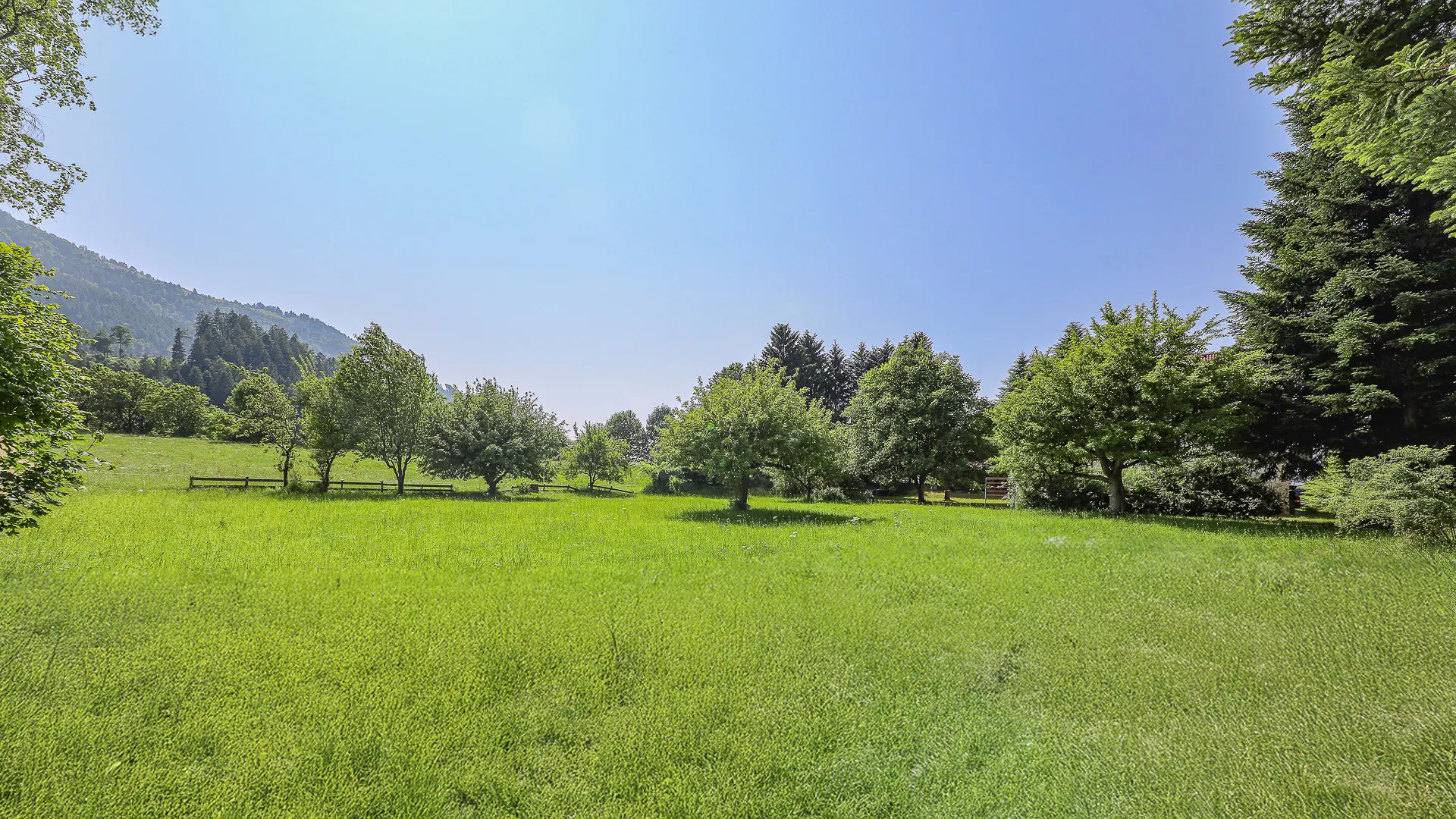 KITZIMMO-Idyllisches 3.491 m² Freilandgrundstück mit Altbestand kaufen - Immobilien Wörgl.