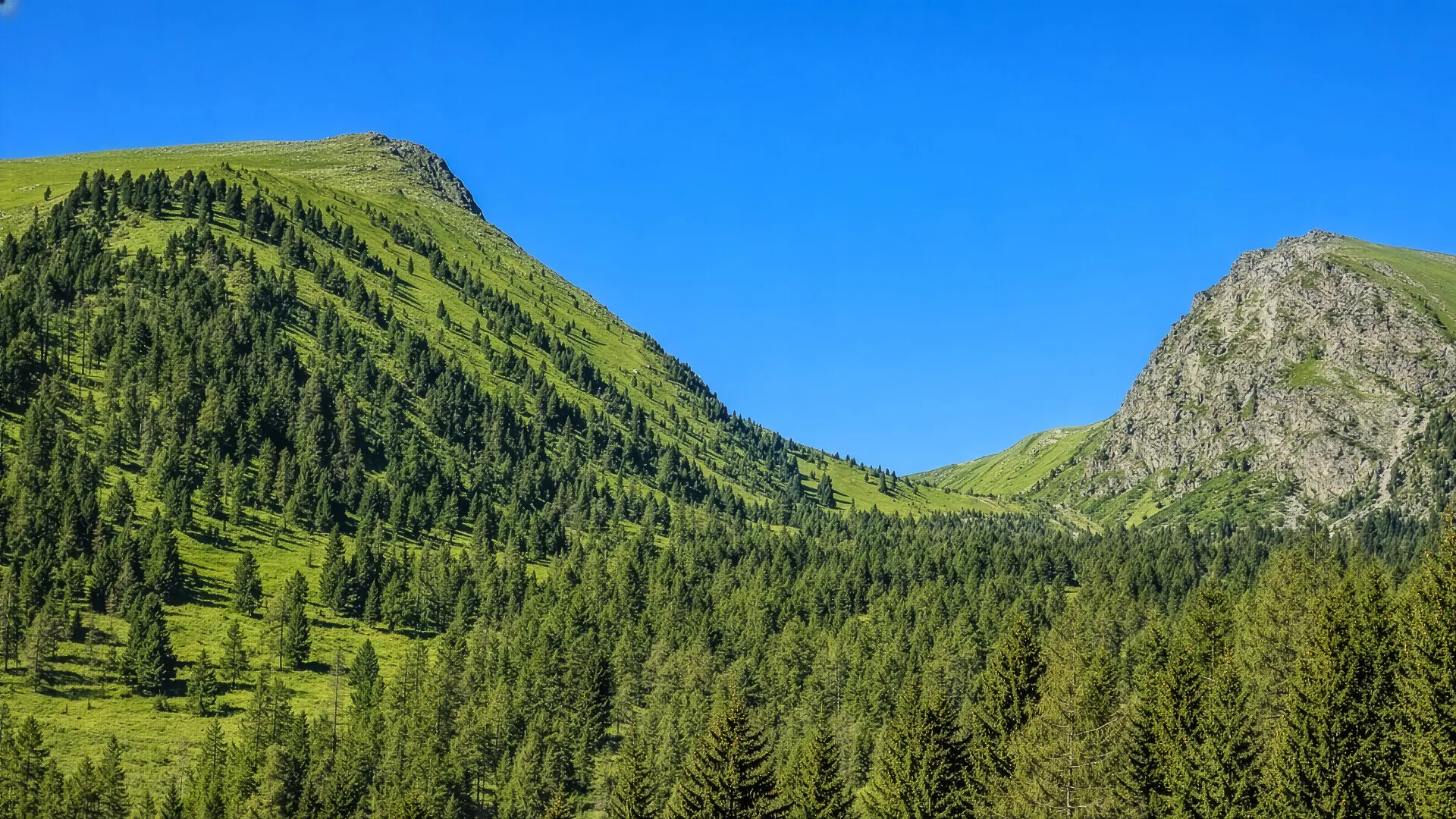 KITZIMMO-9 genehmigte Chalets mit Freizeitwohnsitzwidmung - Immobilien Kärnten.