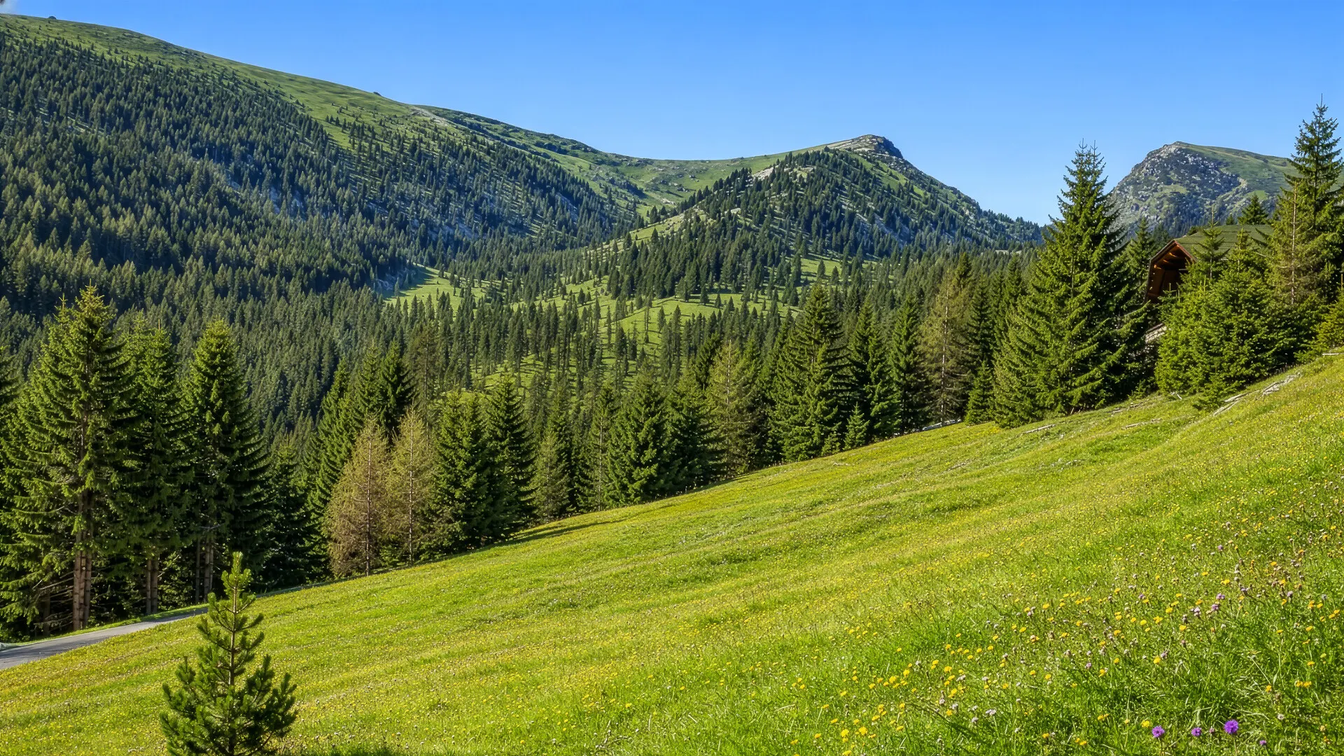 KITZIMMO-9 genehmigte Chalets mit Freizeitwohnsitzwidmung - Immobilien Kärnten.